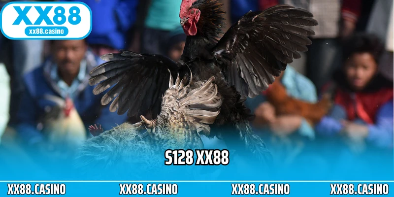 Ảnh đại diện s128 xx88